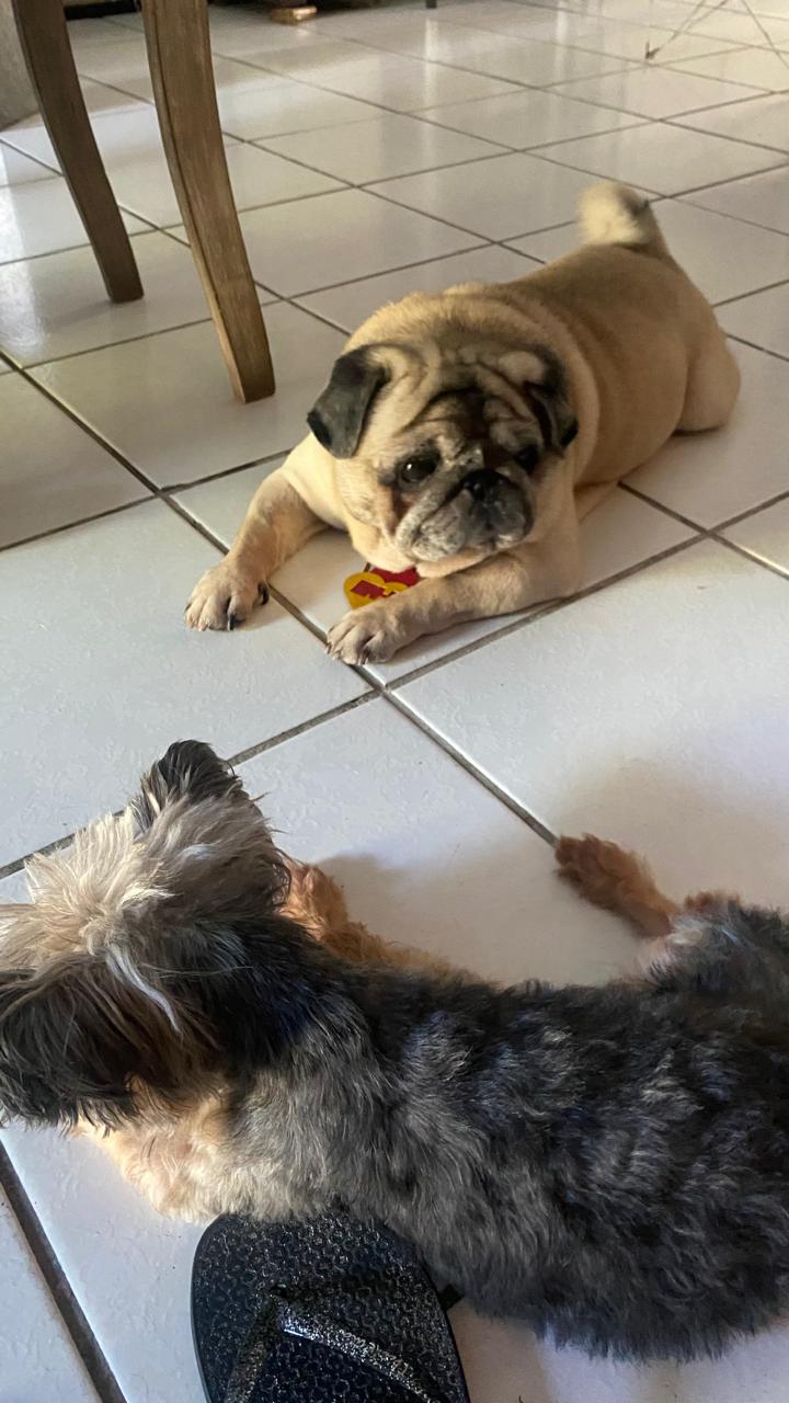 Ted